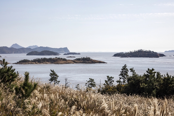 비금 월포해변 5