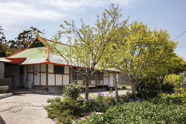 비금 수치도 전경 2