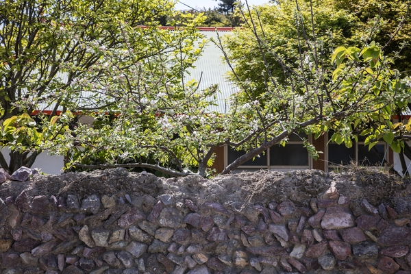 비금 수치도 전경 3