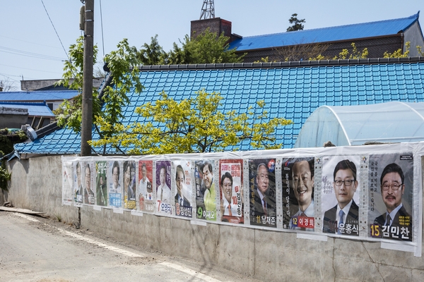 비금 수치도 전경 5