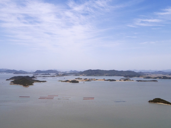 비금 수치도 드론전경 2