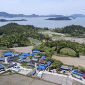 비금 수치도 드론전경