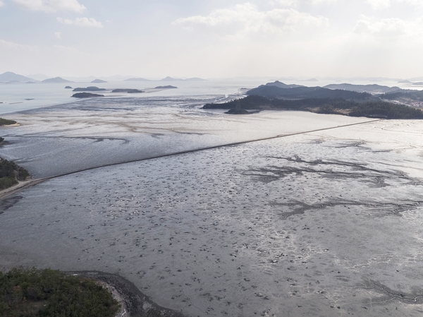 비금면 수치도 3