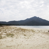 도초 시목해수욕장