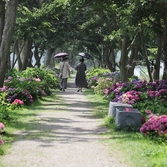 도초면 환상의 정원 팽나무10리길