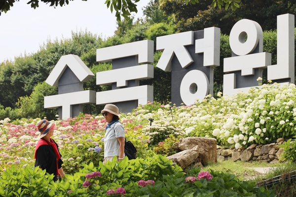 도초면 수국정원 3