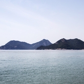 하의면 대야도전경