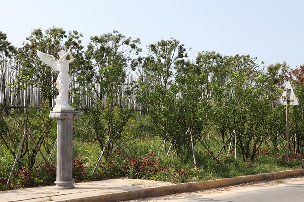 하의면 한반도 평화의 숲 001 2