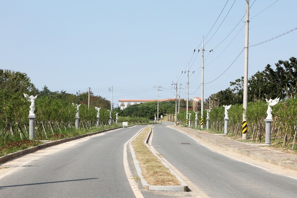 하의면 한반도 평화의 숲 001 4