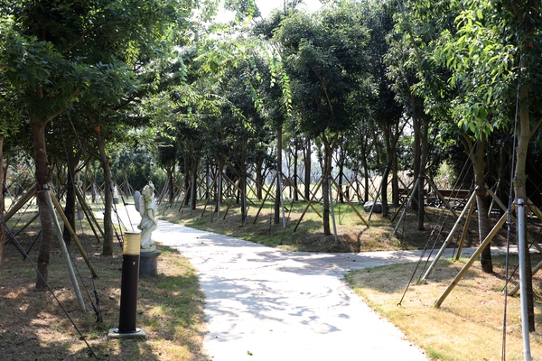 하의면 한반도 평화의 숲 001 5