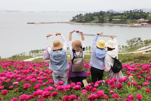 하의면 옥도 작약 005 1