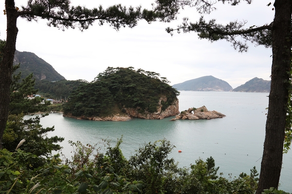 흑산도004 4