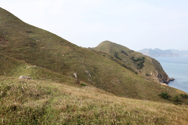 하태도높은산 5