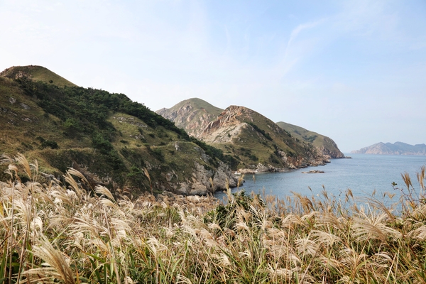 하태도높은산 6