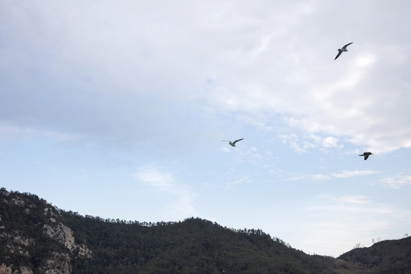 흑산 다물도 앞바다하늘 6