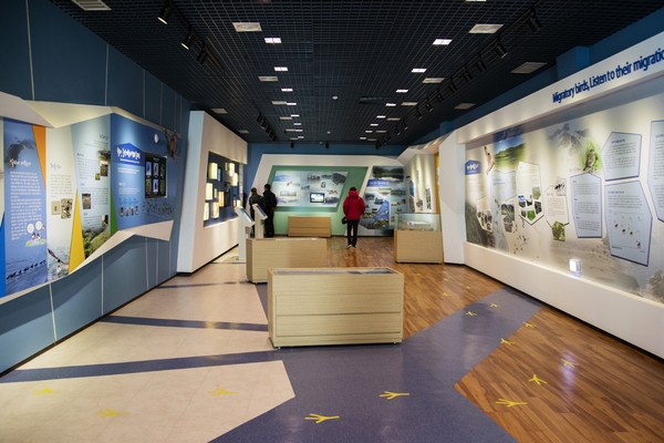 신안철새전시관001 2