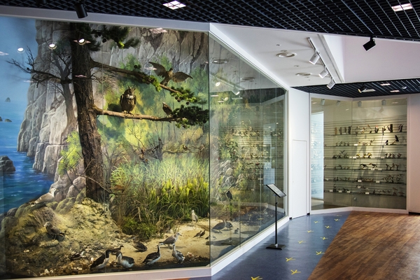 신안철새전시관002 5