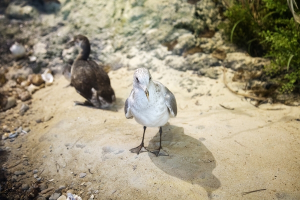 신안철새전시관002 1