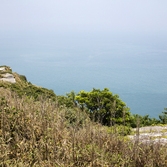 흑산면 장도습지 002