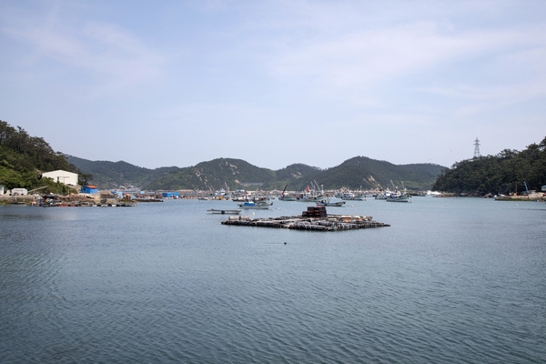 흑산면 다물도 마을전경 001 4