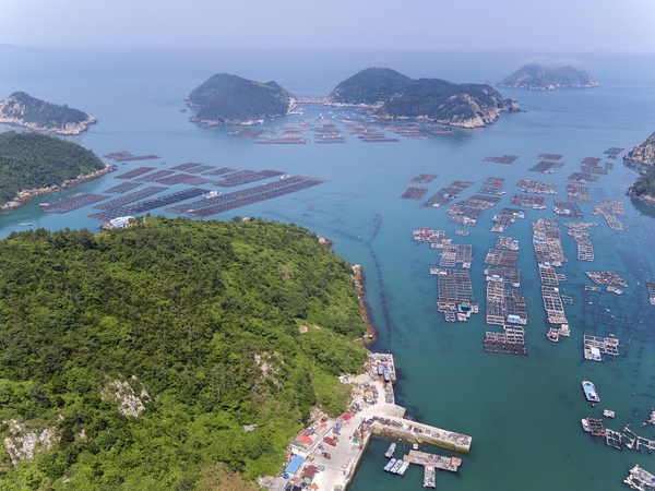 흑산면 대둔도 가두리양식 2