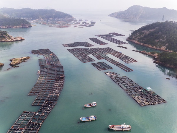 흑산면 대둔도 가두리양식 3