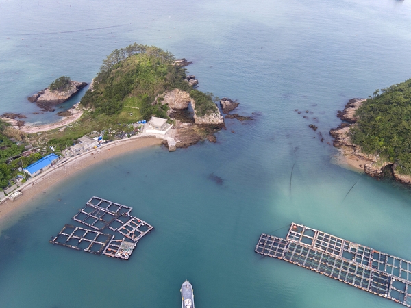 흑산면 대둔도 가두리양식 5