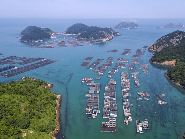 흑산면 대둔도 가두리양식 1