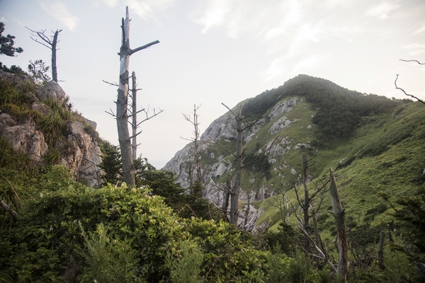 흑산 만재도 해뜰녘 5