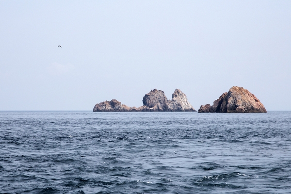 흑산 해상관광유람선 다물도코스 낙타바위 고래섬 토끼와 거북이 스님바위 어머니바위 1