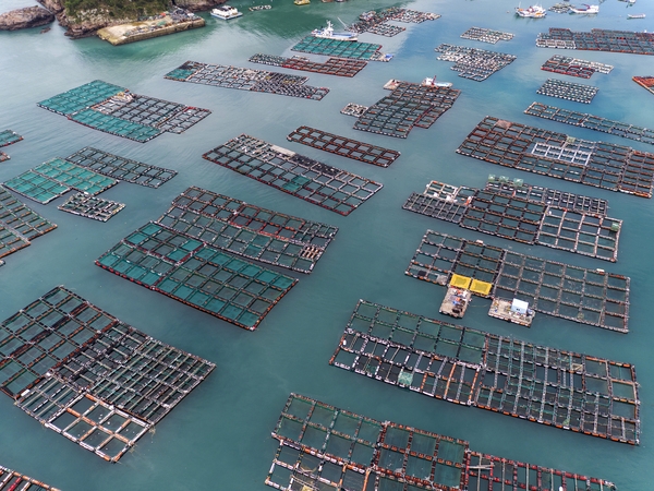 흑산 다물도 가두리 양식장 2