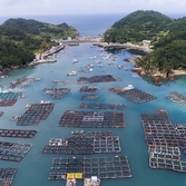 흑산 다물도 가두리 양식장