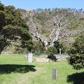 흑산도 무심사지삼층석탑 석등