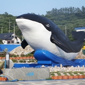 흑산면 고래공원