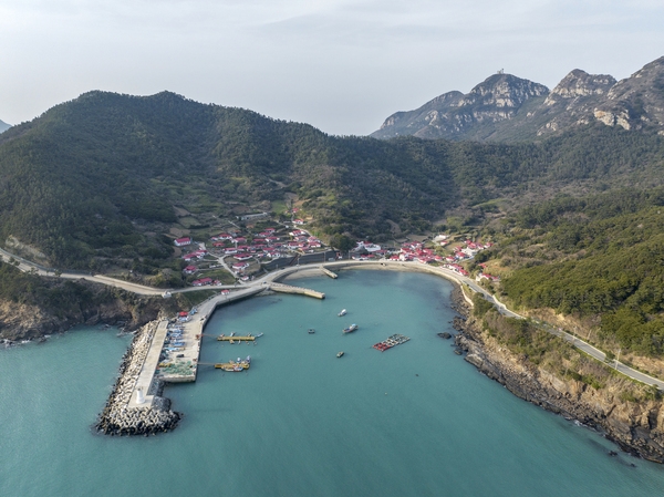 흑산면 심리마을 1