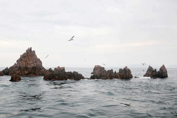 홍도기암괴석002 3