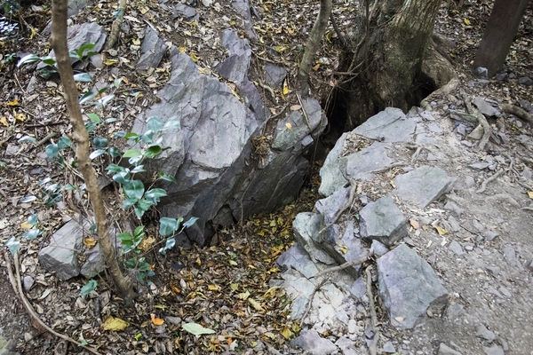 홍도 깃대봉 등산로 2