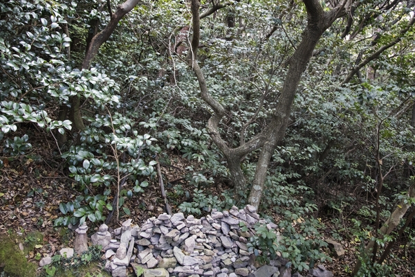 홍도 깃대봉 등산로 3