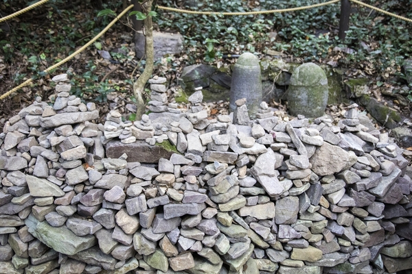 홍도 깃대봉 등산로 6