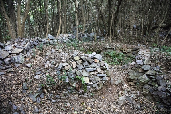 홍도 깃대봉 등산로 1