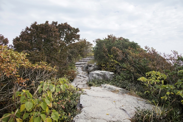 홍도 깃대봉 등산로 02 2
