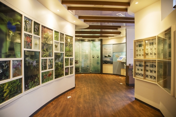 홍도 생태전시관 5