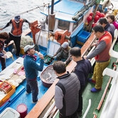 홍도 유람선 해상포차
