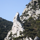 홍도 공작새바위