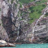 흑산면 홍도폭폭수 002