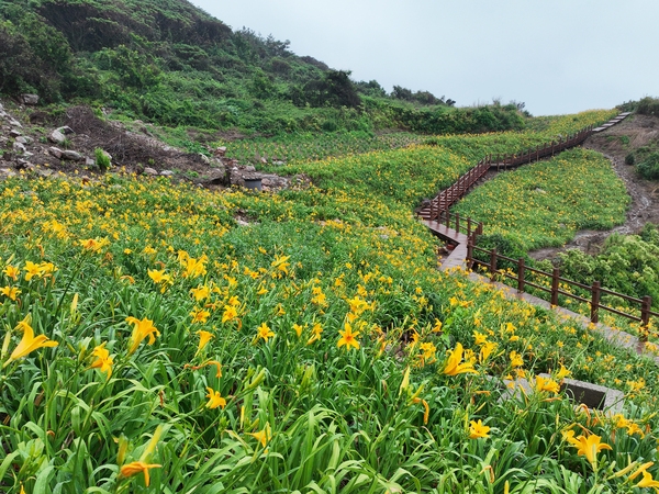 흑산면 홍도폭포수 002 2