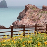 흑산면 홍도폭포수 002