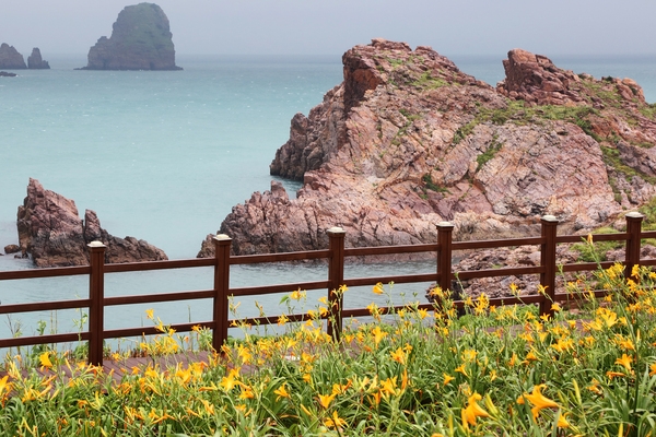 흑산면 홍도폭포수 002 1