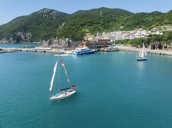 흑산면 홍도 섬 홍도원추리축제 5