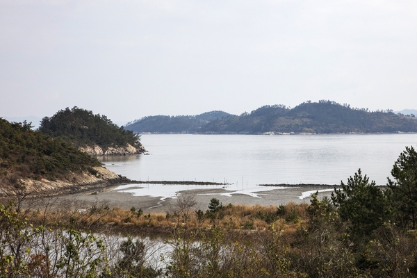 임자 삼봉끝 독살 2